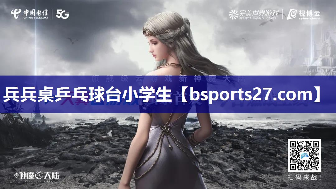 兵兵桌乒乓球台小学生