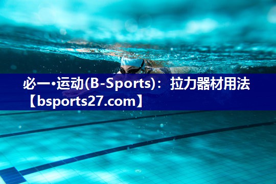 拉力器材用法