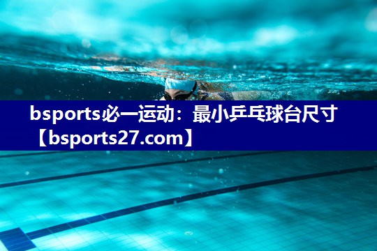最小乒乓球台尺寸