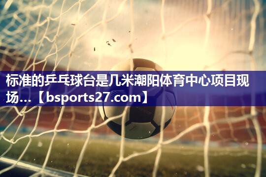 标准的乒乓球台是几米潮阳体育中心项目现场…