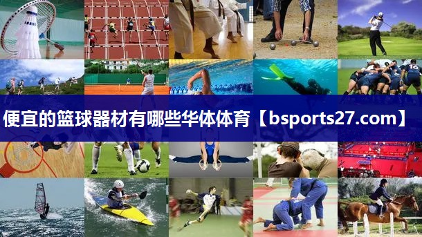 便宜的篮球器材有哪些华体体育