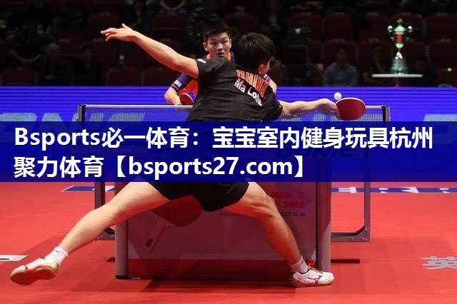 Bsports必一体育：宝宝室内健身玩具杭州聚力体育