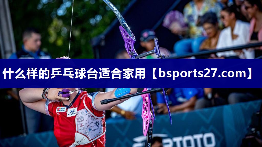 什么样的乒乓球台适合家用