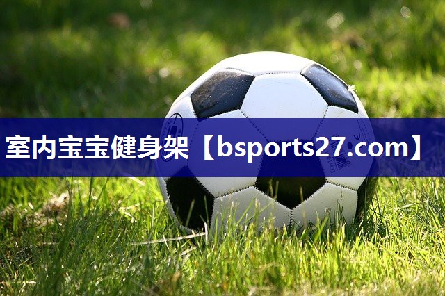 室内宝宝健身架